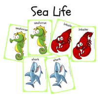 Memory Game-Sea Life